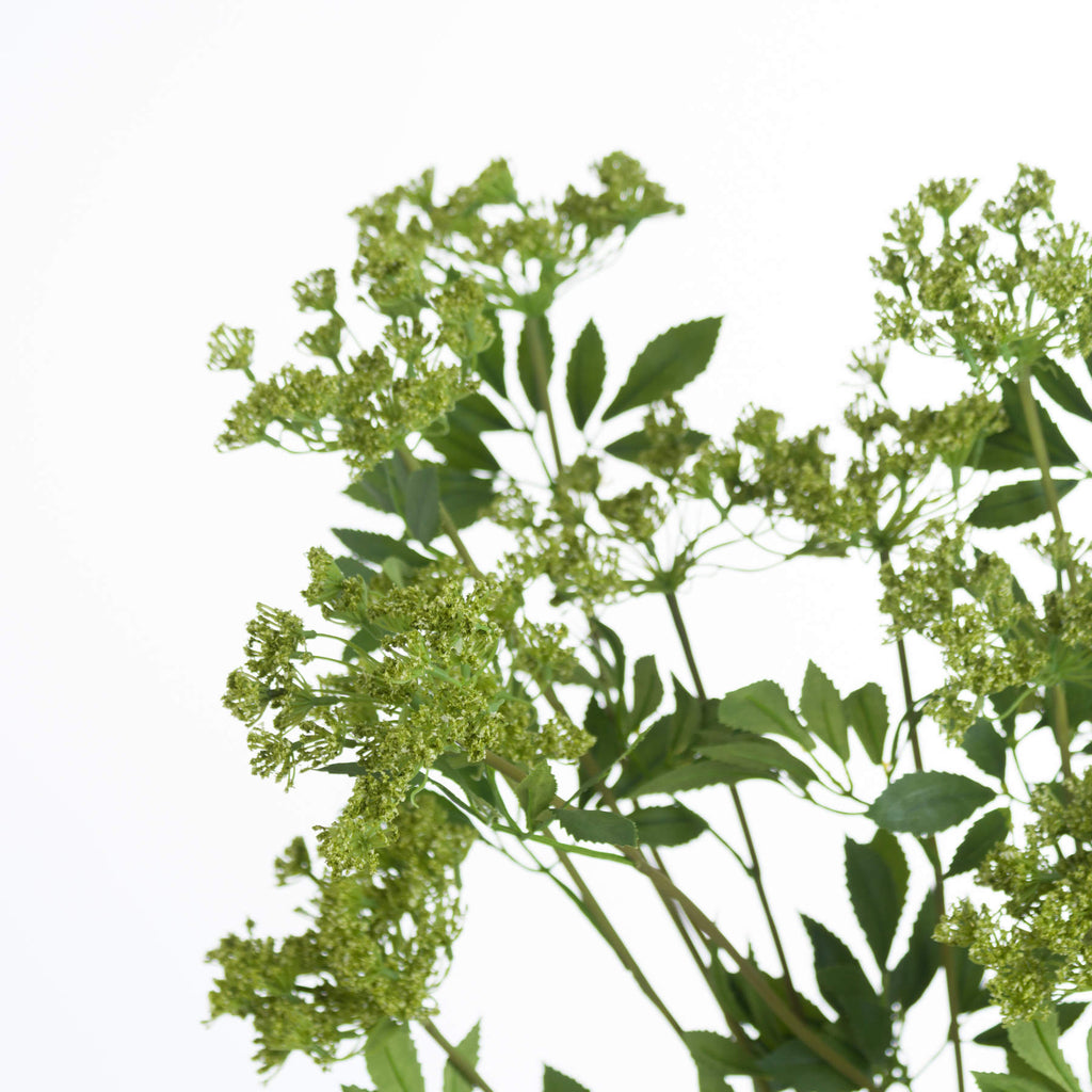 Faux Cow Parsley Ammi — view 5 green plastic