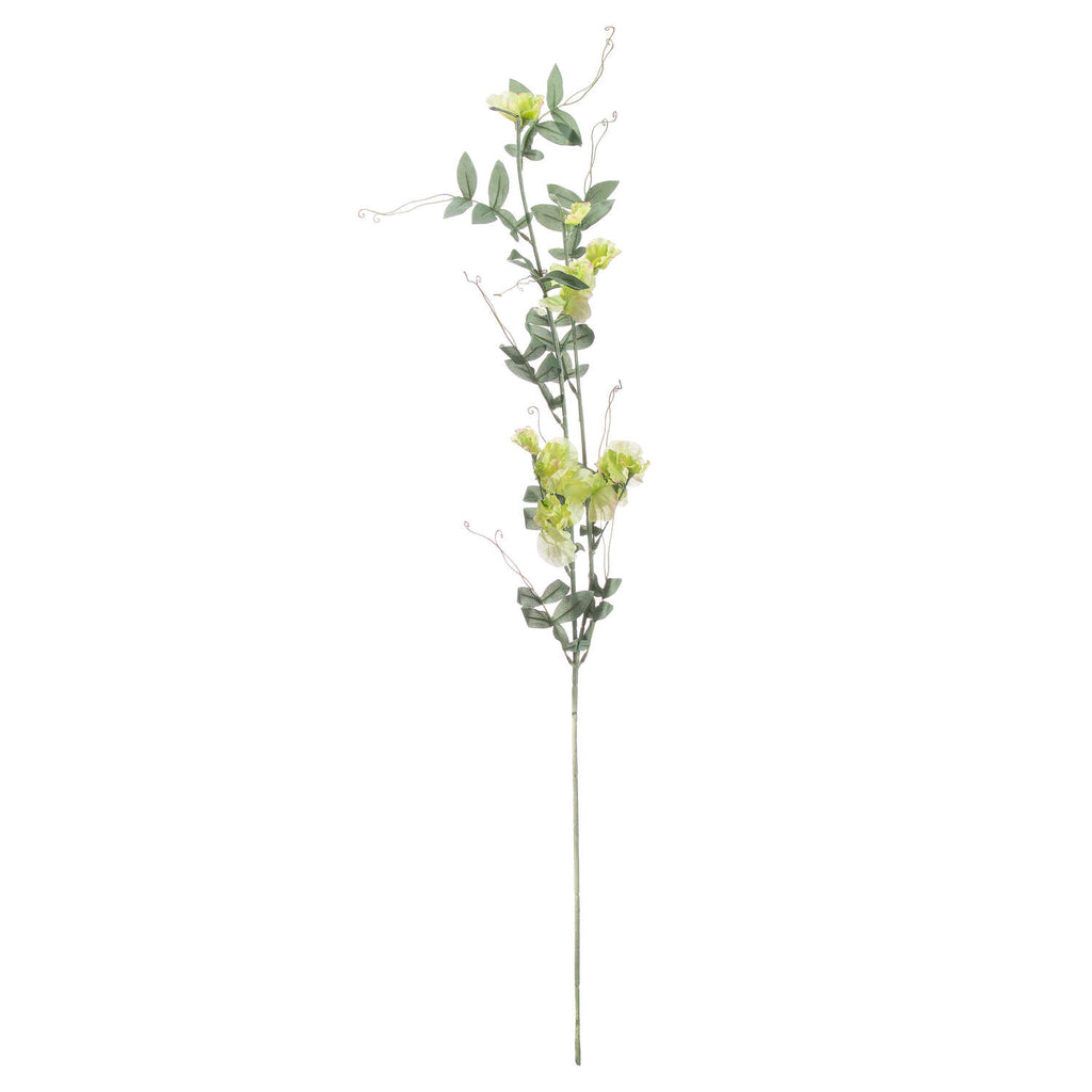 Sweet Pea Trail