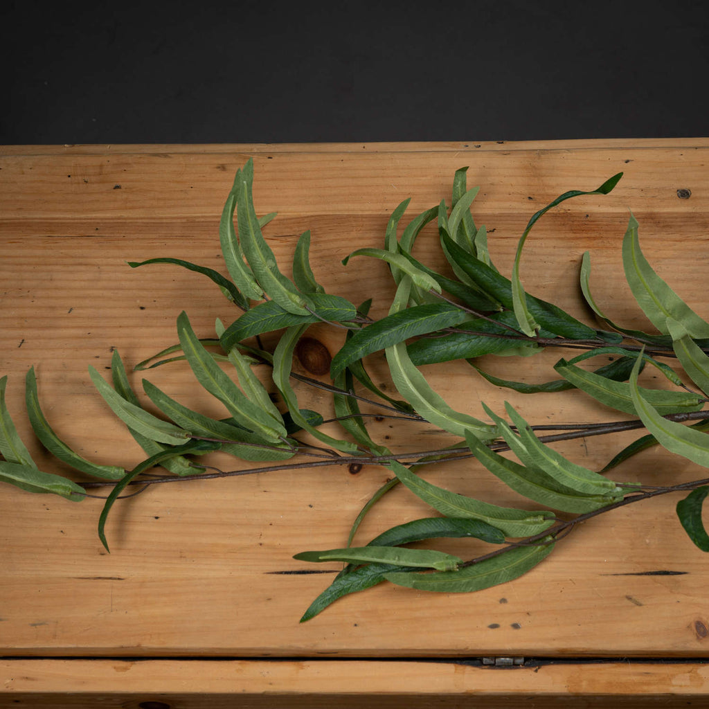 Eucalyptus Nicholii Spray — side view green plastic