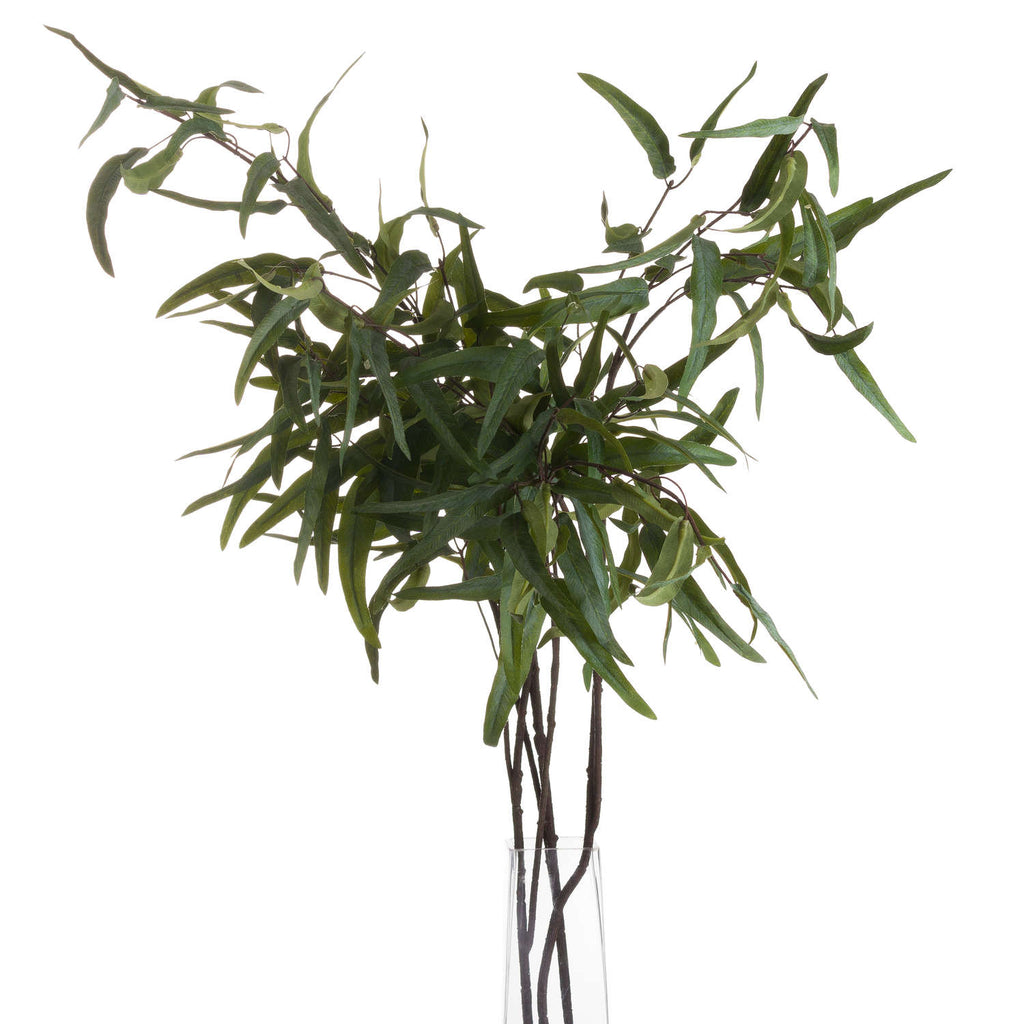 Eucalyptus Nicholii Spray — detail close-up green plastic