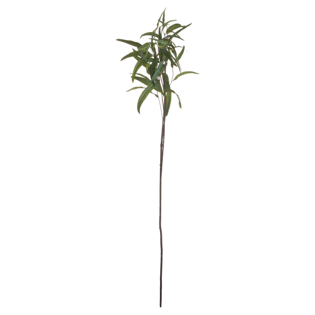 Eucalyptus Nicholii Spray — view 5 green plastic