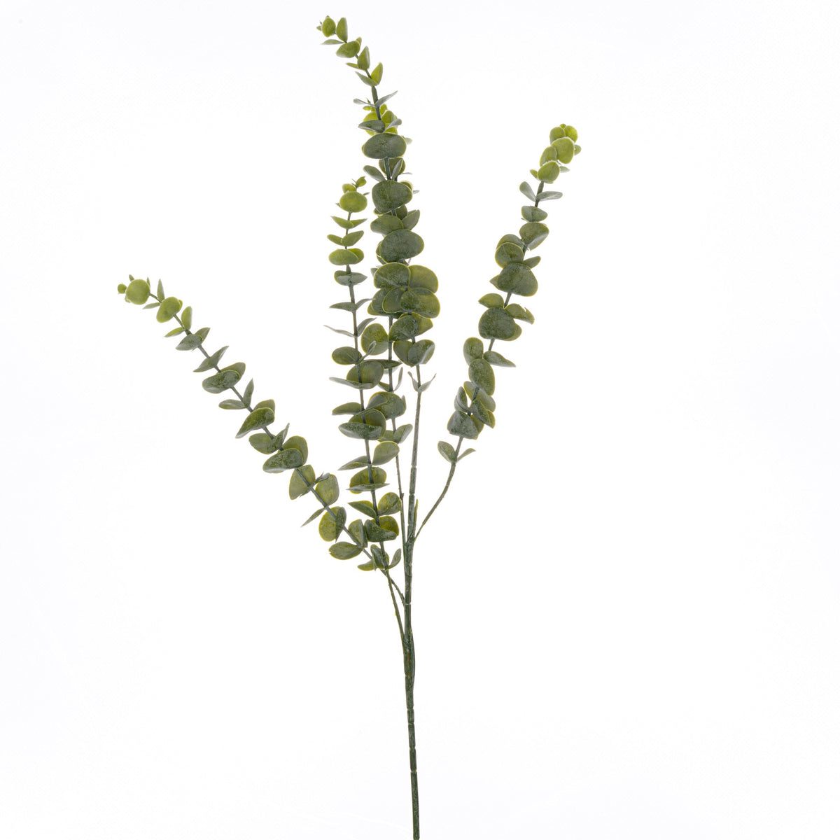 Artificial Gunnii Eucalyptus Spray, SKU 22167, two stems included in the set.