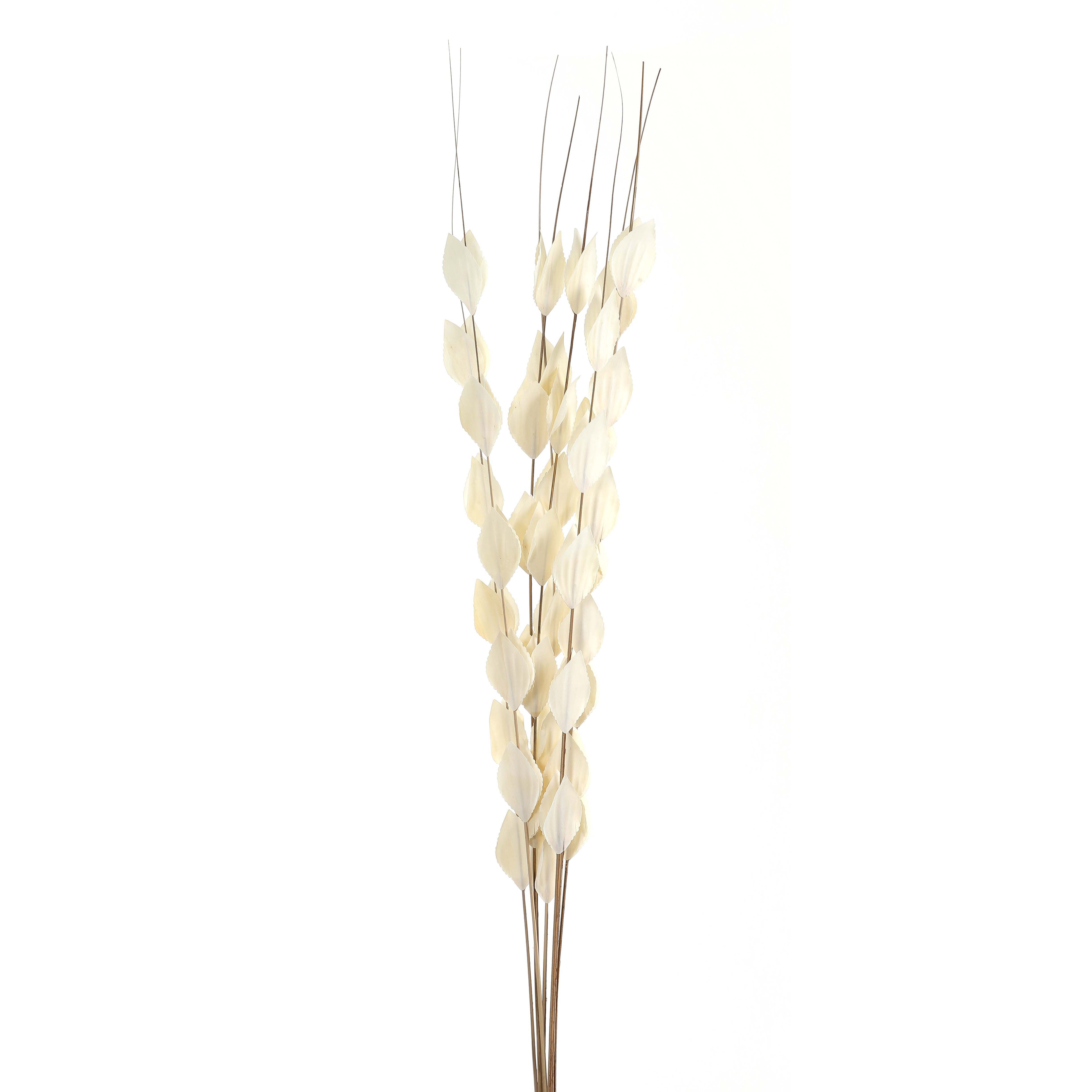 Bouquet Of Dried Thlaspi Arvense