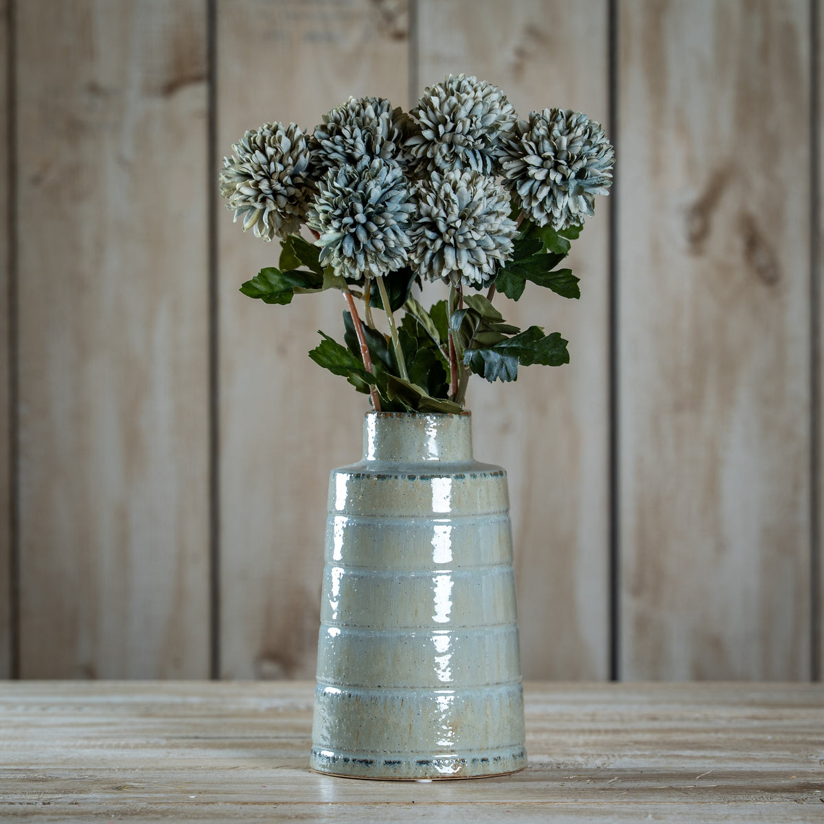 Pale Green Blue Short Chrysanthemum