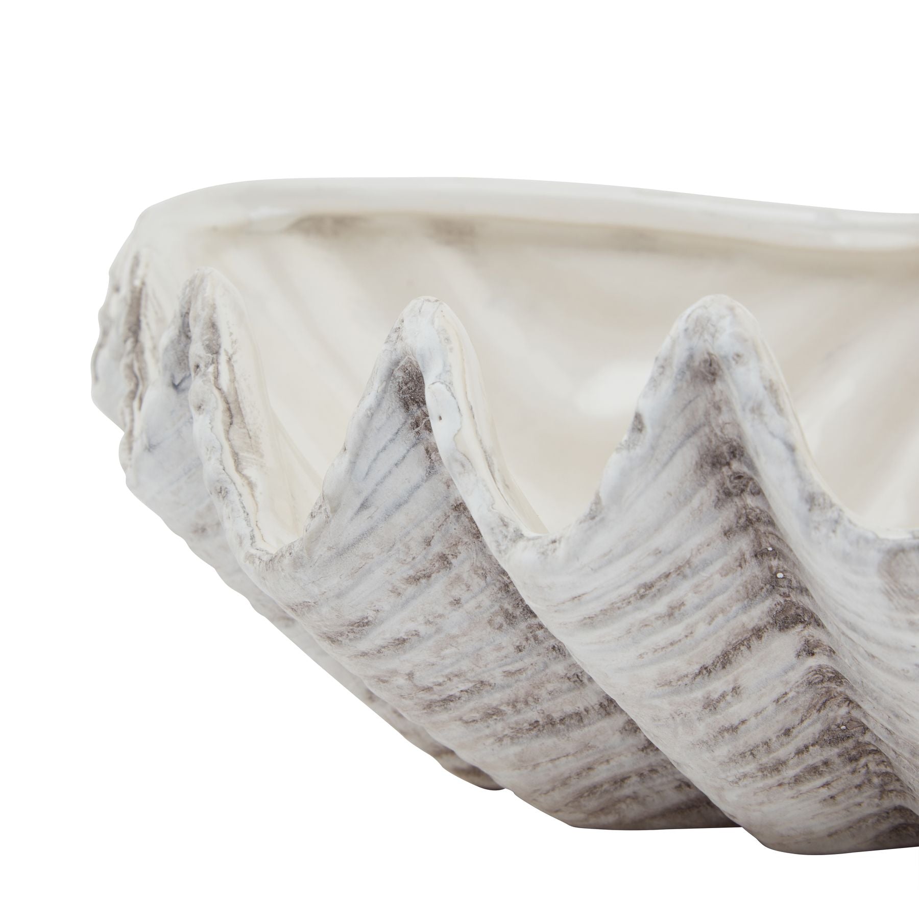 Siren Medium Ceramic Shell Bowl — side view white ceramic