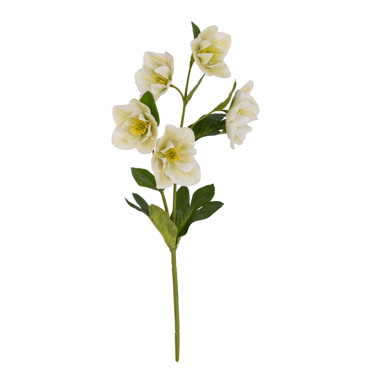 Artificial White Hellebore stem: 1 included in The Remembrance Posy