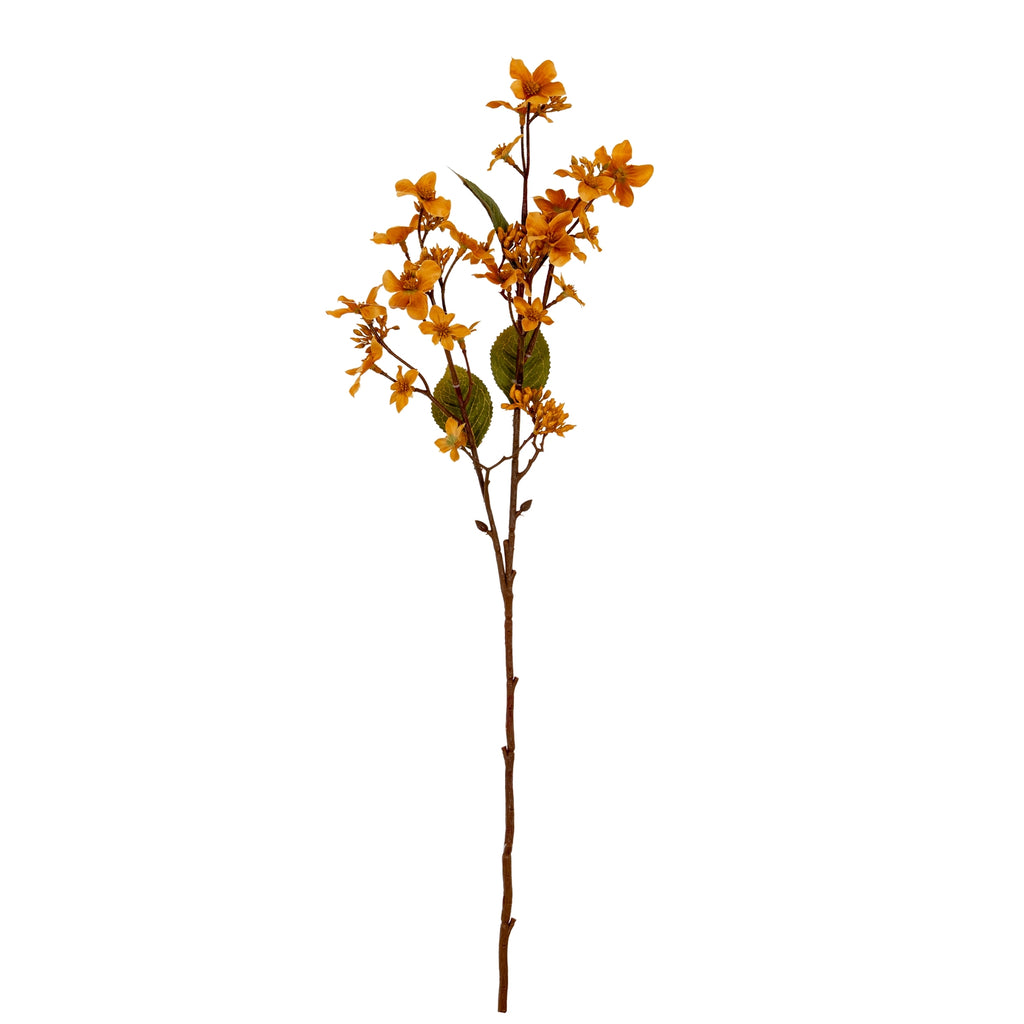 Yellow Vernicia Fordii Spray