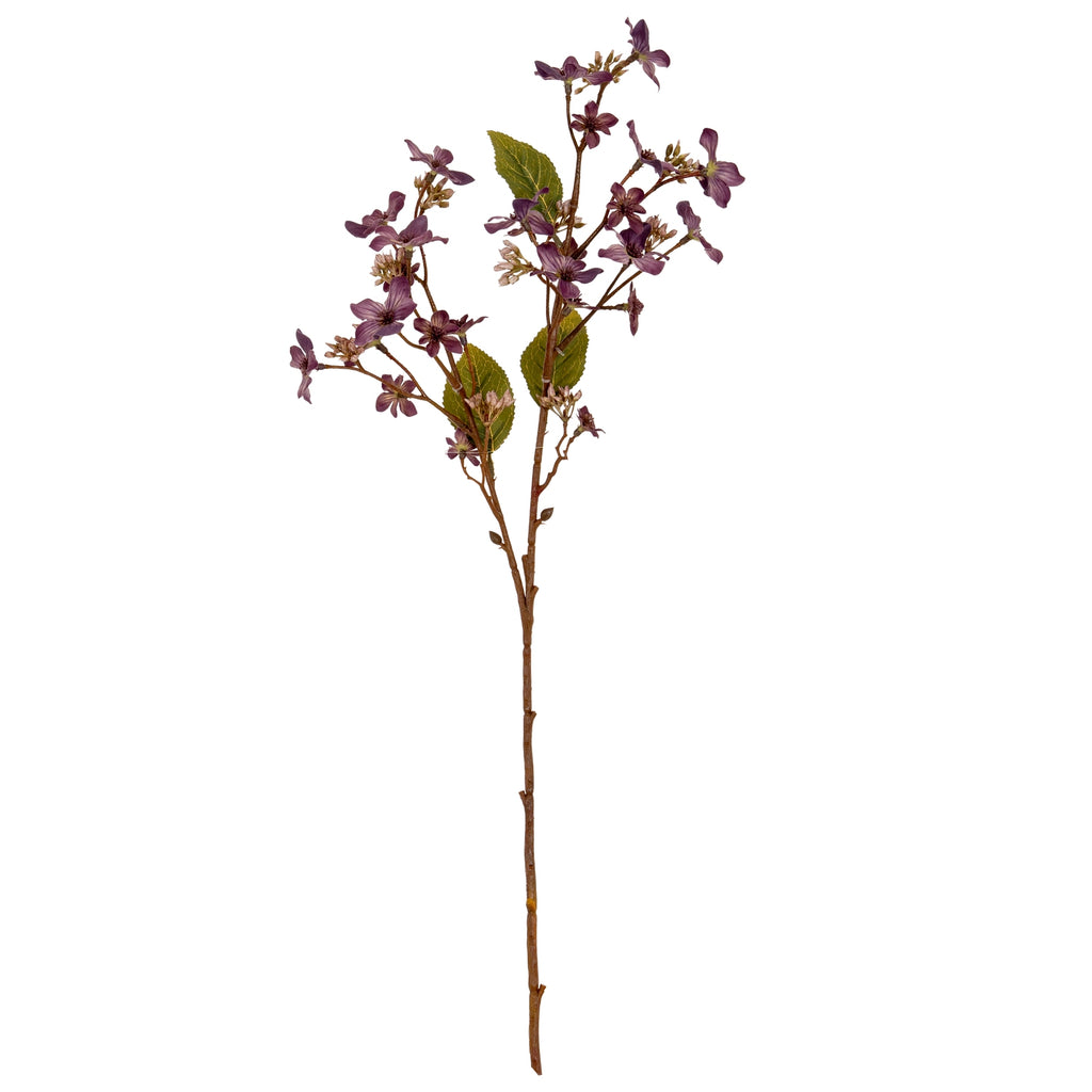 Purple Vernicia Fordii Spray