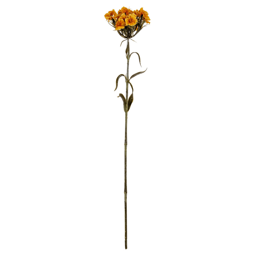 Yellow Dianthus Spray