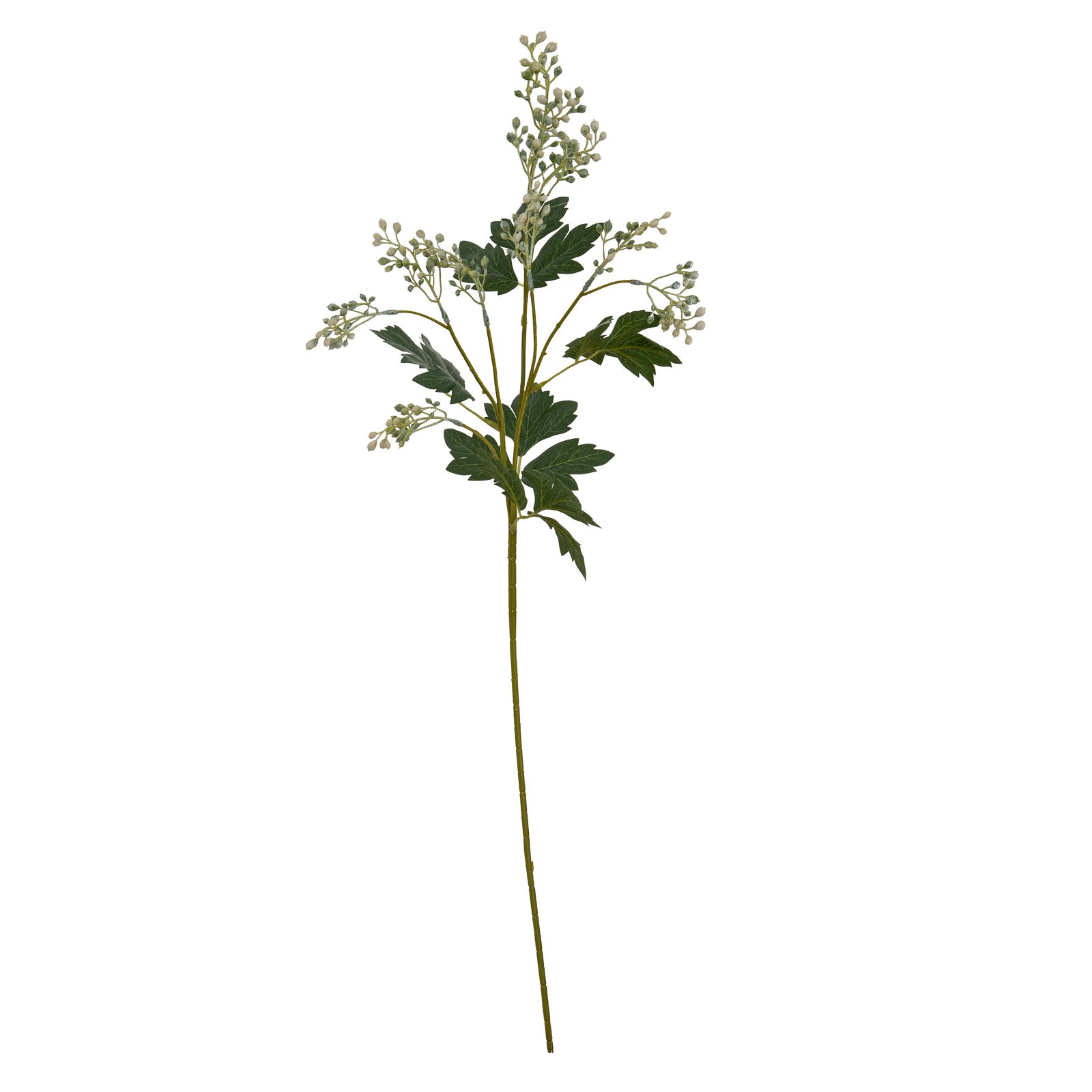 Milk Thistle Bud Spray