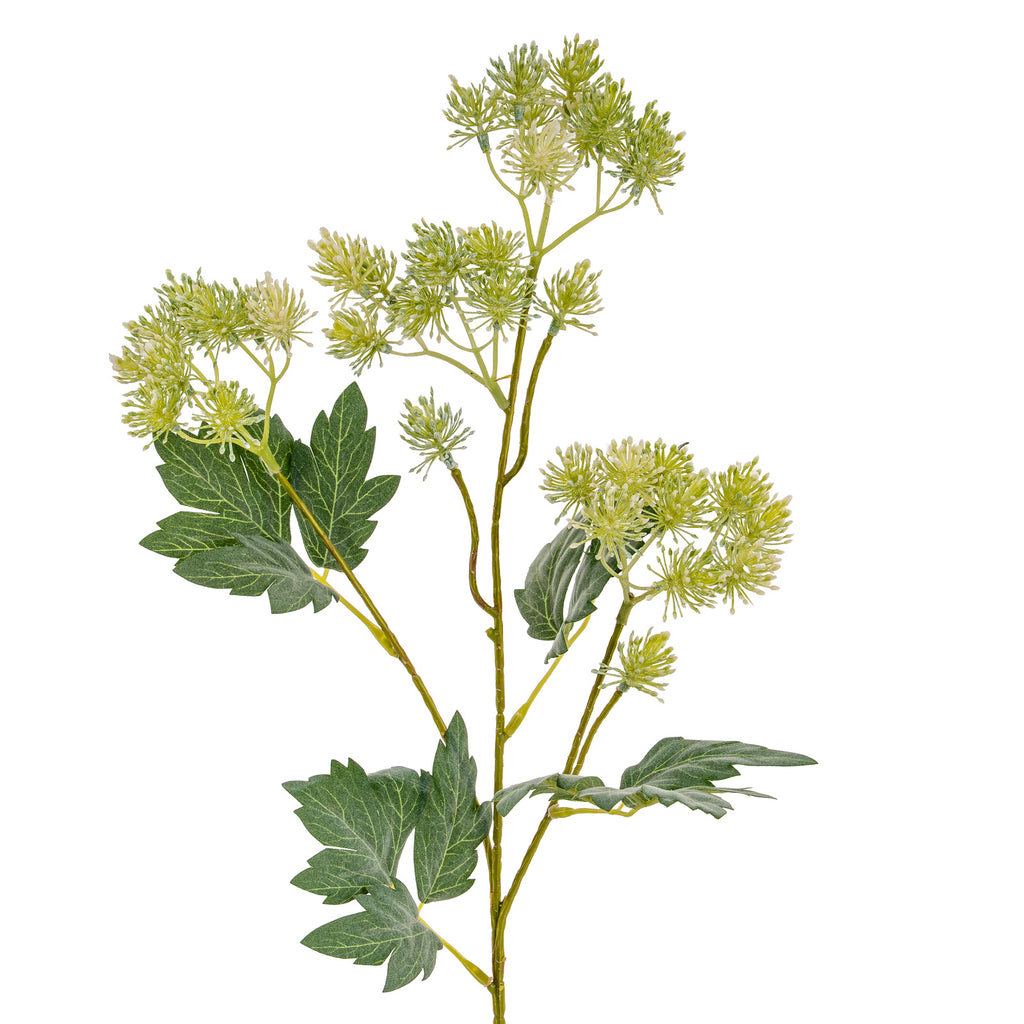 Green French Meadow Spray