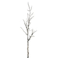 Snowy Winter Woodland Branch