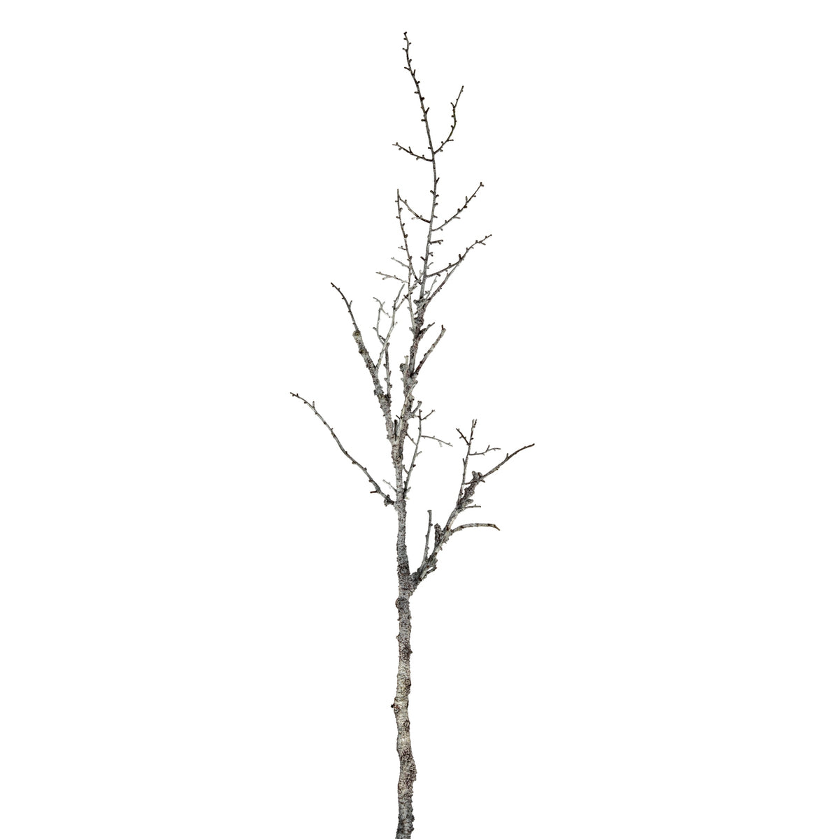 Artificial Snowy Winter Woodland Branch, included in The Blue Flora Snowy Woodland Arrangement