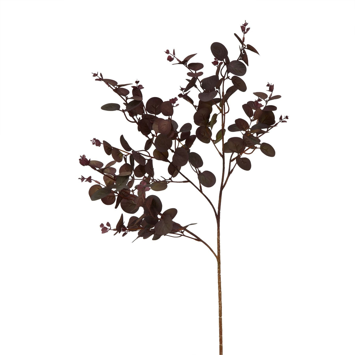 Burgundy Eucalyptus Bunches included in The Aurelia Blush Bouquet