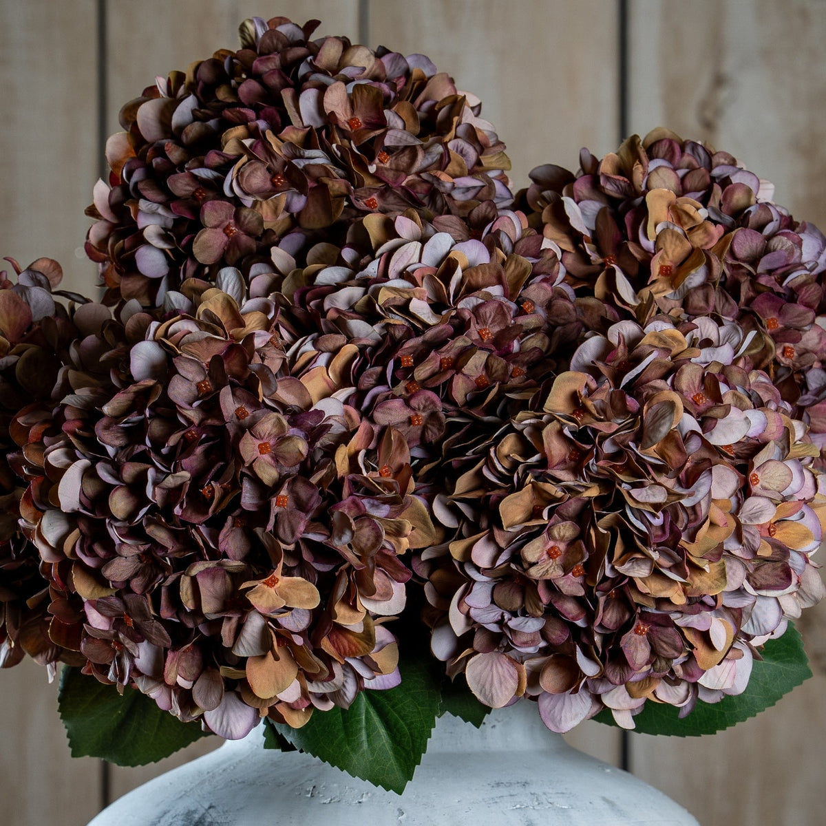 Autumn Coffee Hydrangea stems included in The Cocoa Autumn Bouquet