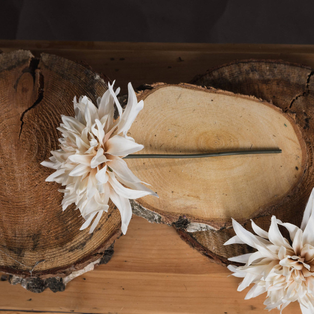 Café au Lait stems included in The Cotswold Cream Bouquet