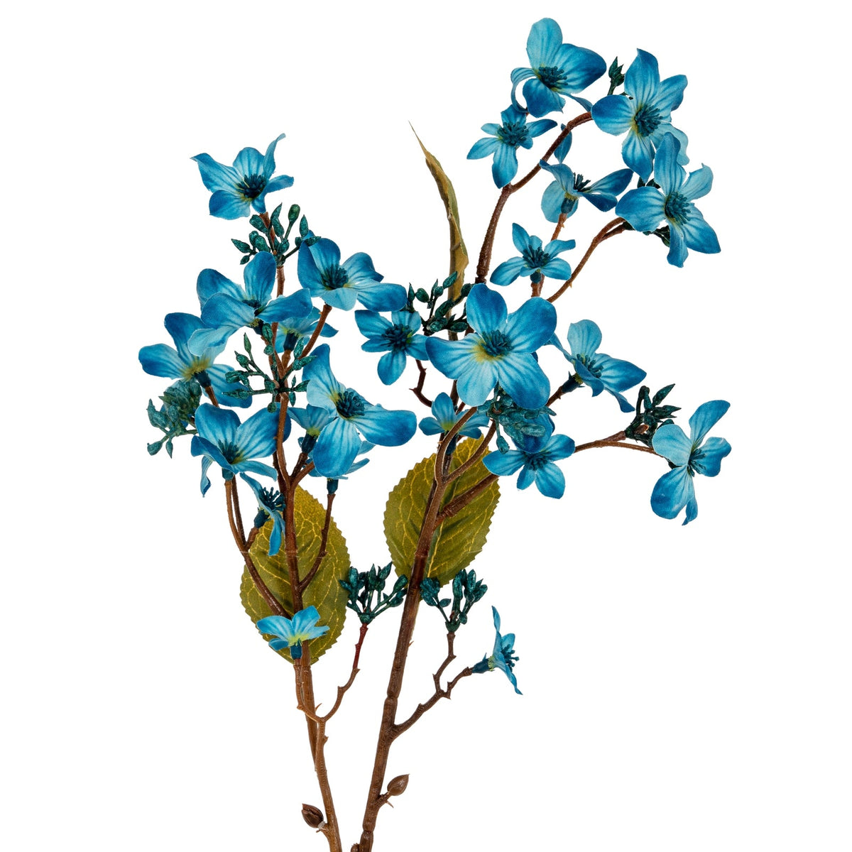 Blue Vernicia Fordii Sprays included in The Delft Blue Bouquet