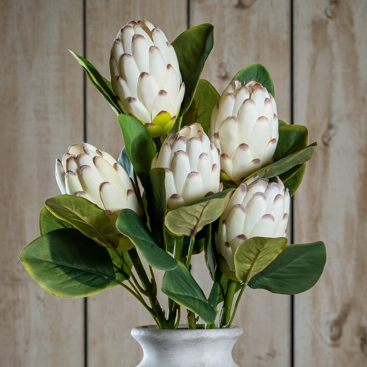 Closed White Protea stems included in The Ivory Protea Bouquet