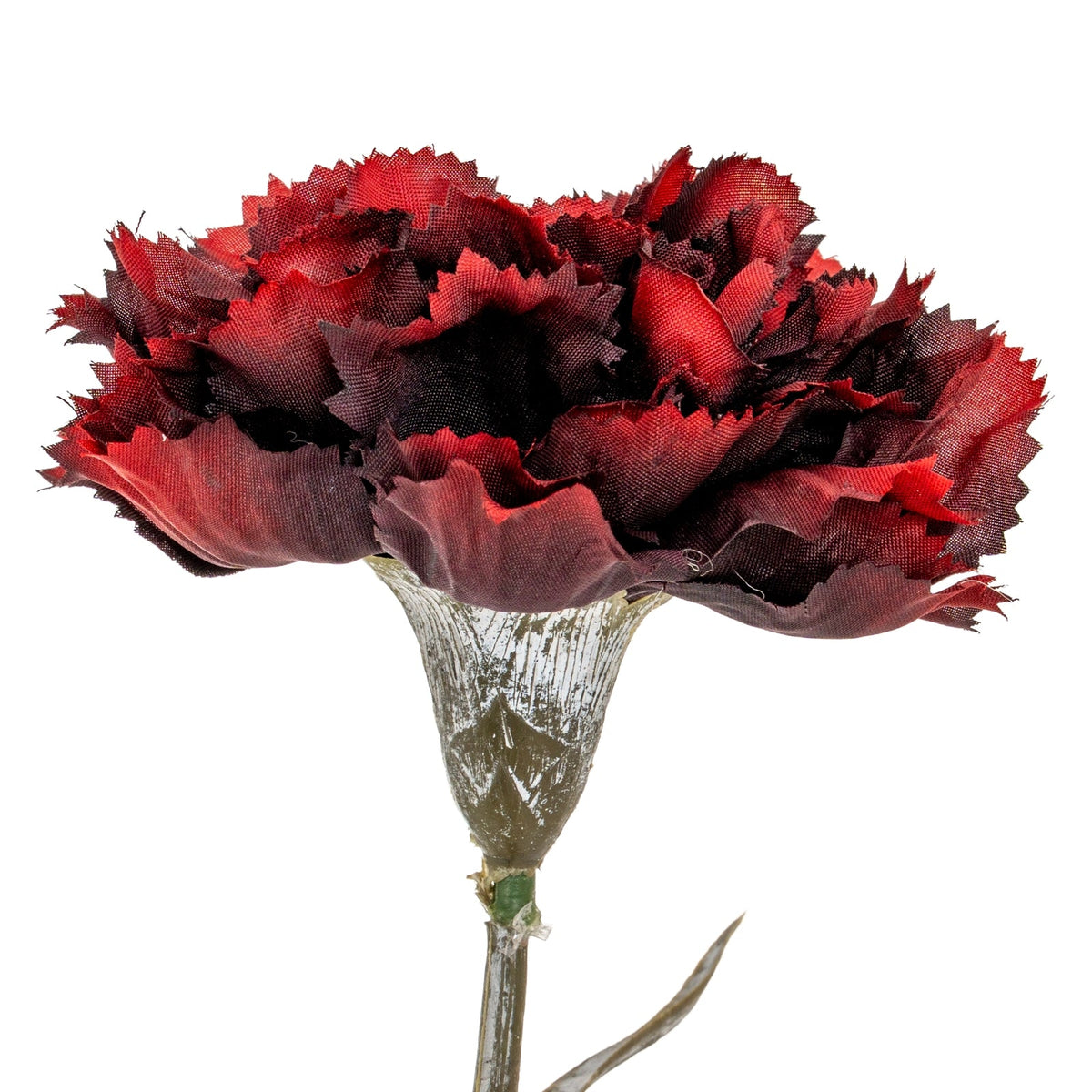 Burgundy Carnation Stems included in The Nocturne Burgundy Bouquet