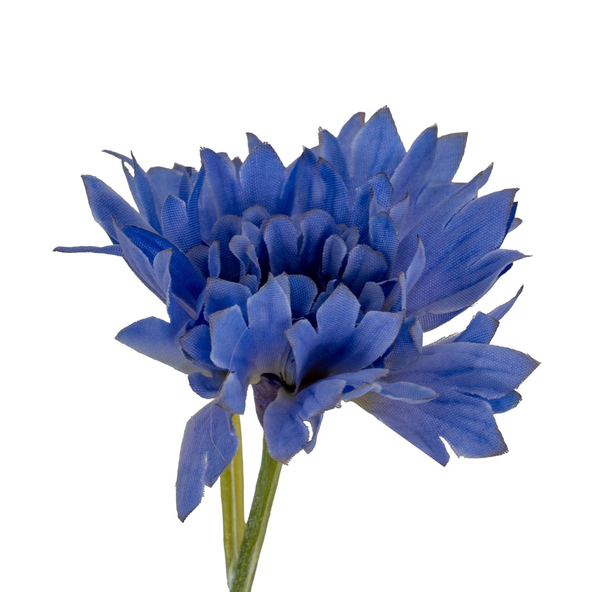 Blue Cornflower Stems included in The Provence Meadow Bouquet