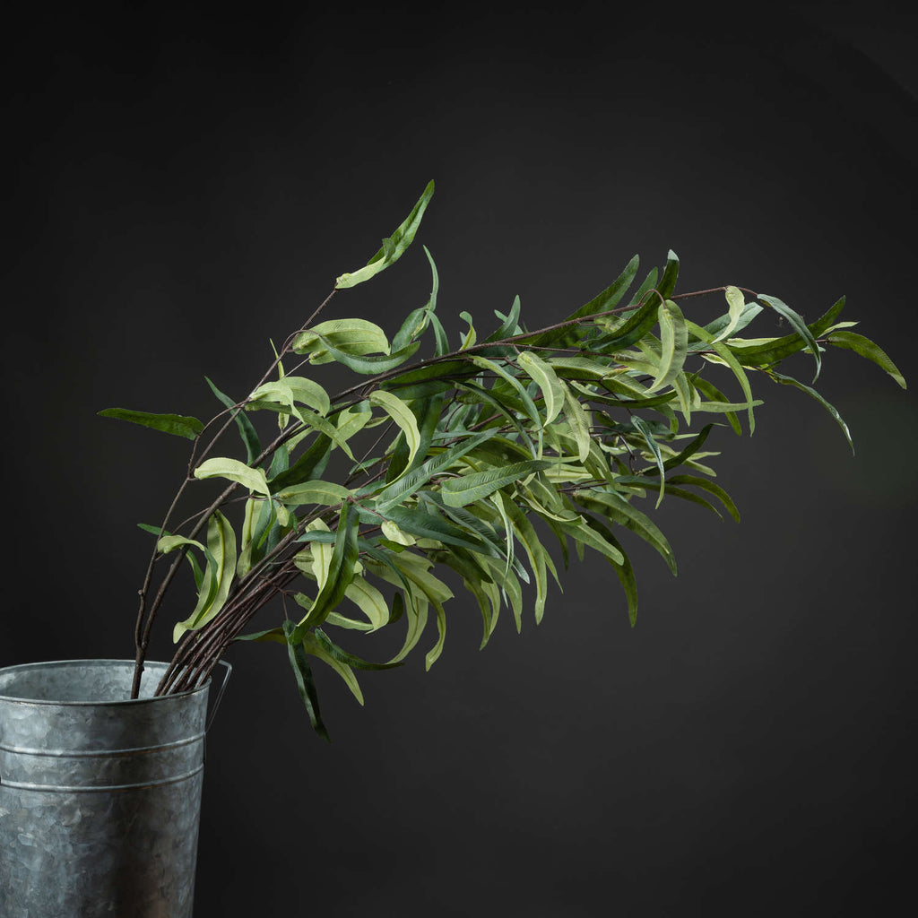 Eucalyptus Nicholii Sprays included in The Seville Burgundy Bouquet